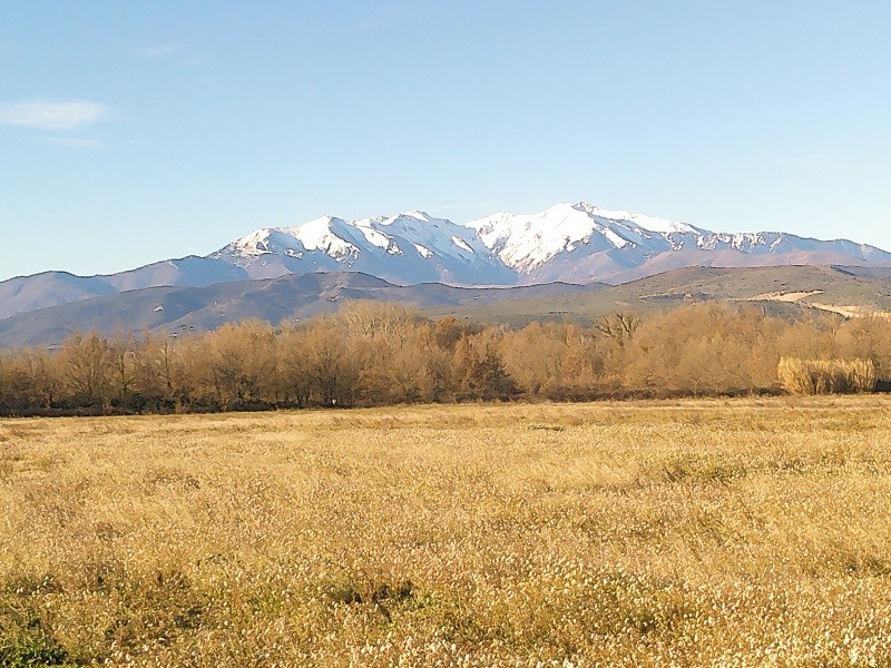 Le canigou