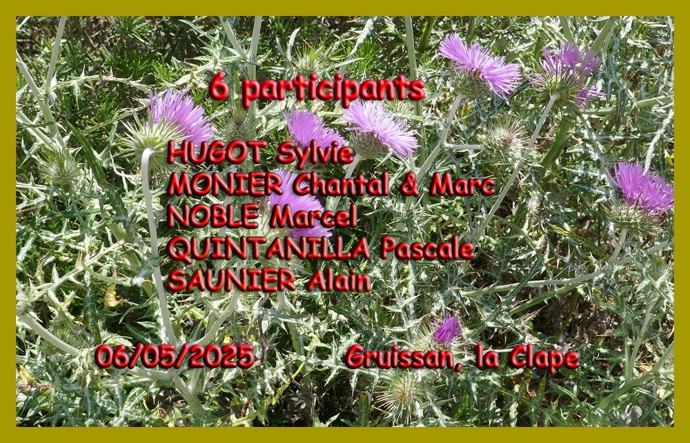 Participants