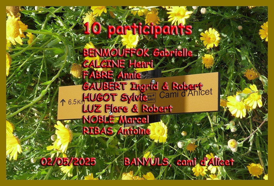 Participants