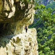 1174451403 1617265576