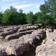 Labyrinthe vert nebias rando pyrenees audoises 03
