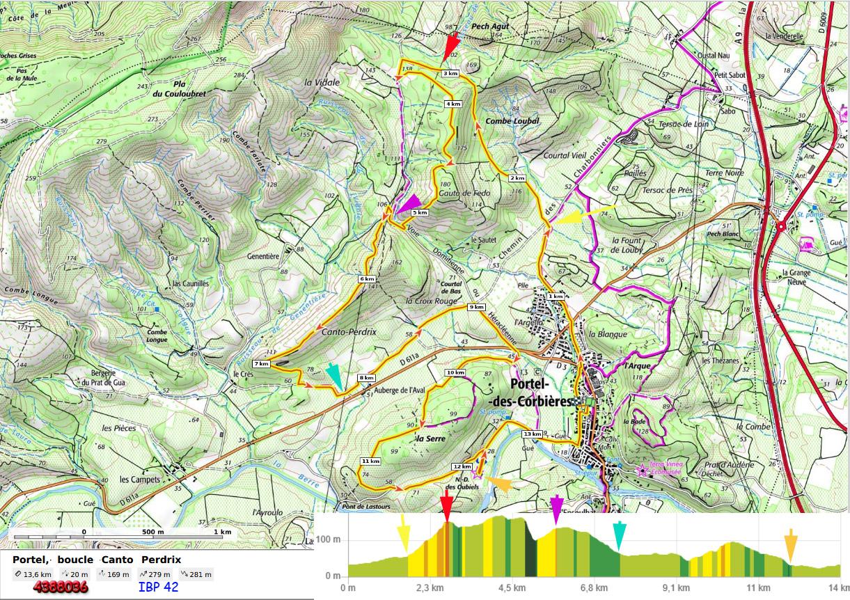Portel boucle canto perdrix 4383036