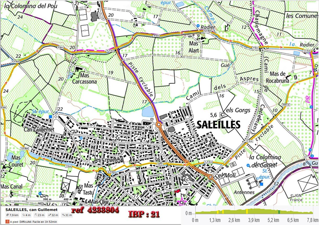 Saleilles can guillemet 4233804