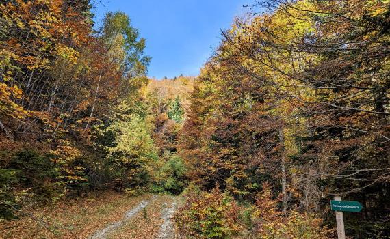 Sentier des 5 sens par otcc 34 