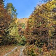 Sentier des 5 sens par otcc 34 